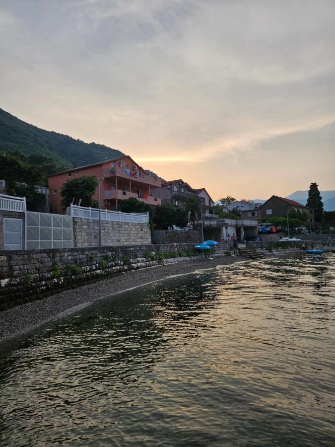 Apartmani Markovic Kotor Zewnętrze zdjęcie